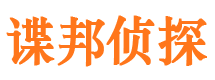 武都市场调查